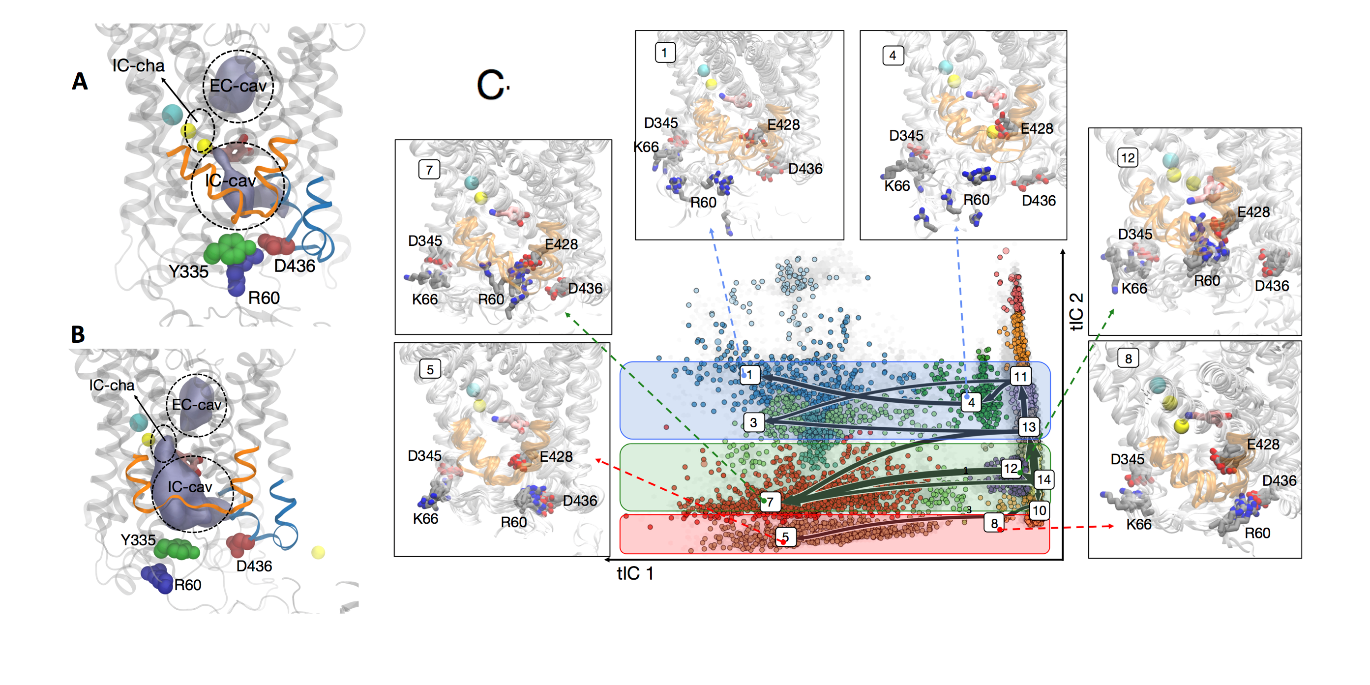 Sodium Shakedown in Dopamine Research