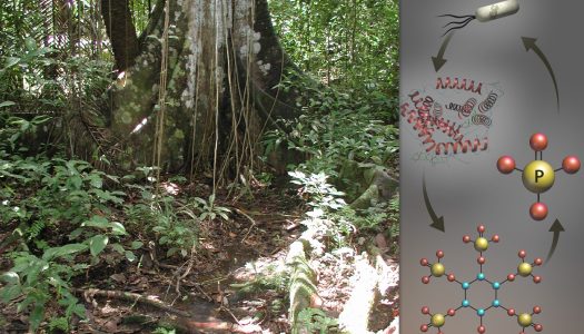 Titan Powers Data Dive into Tropical Soil Microbes
