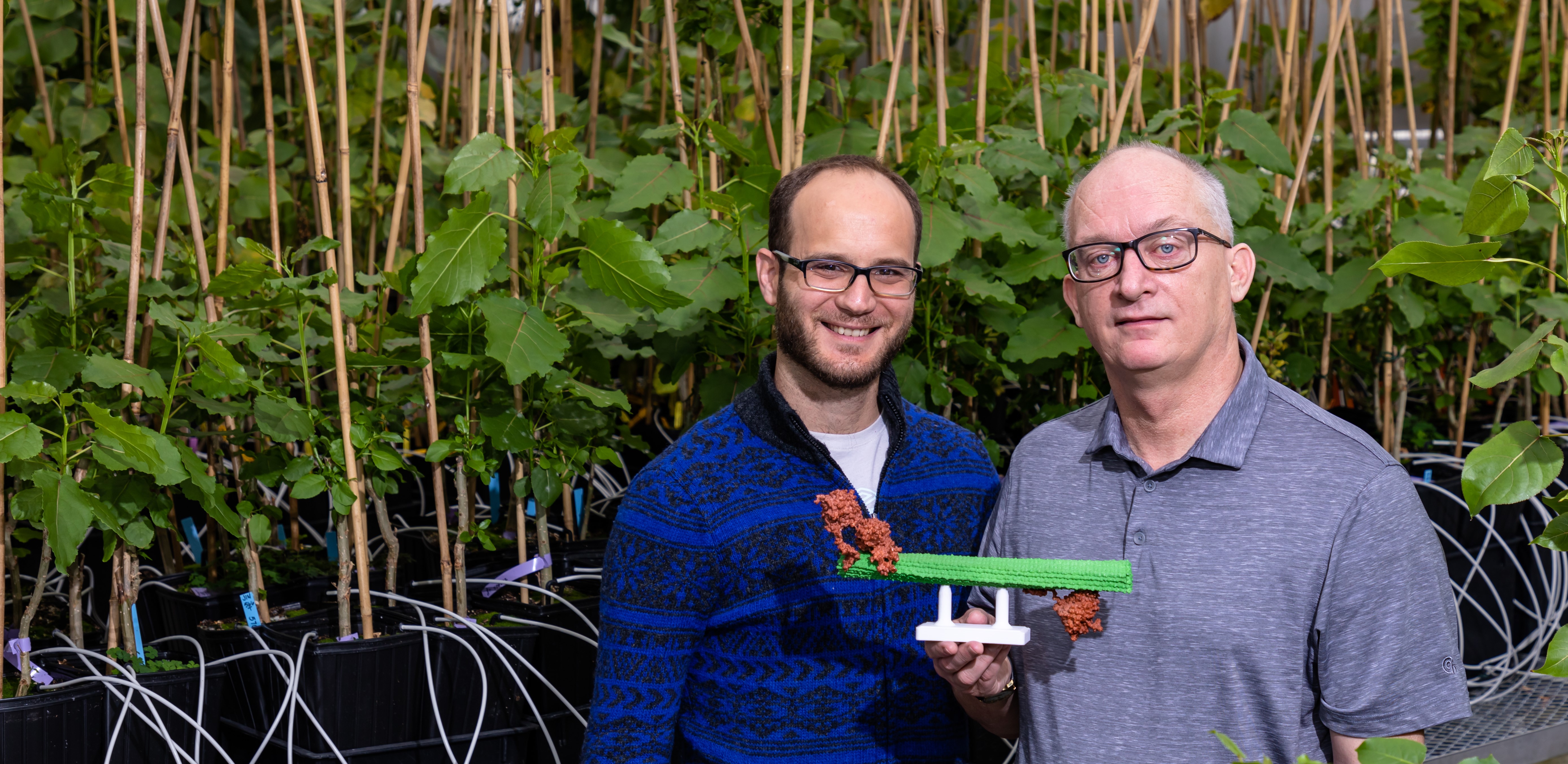 Breaching the Biomass Problem
