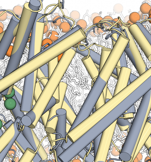 ECpH microscopy