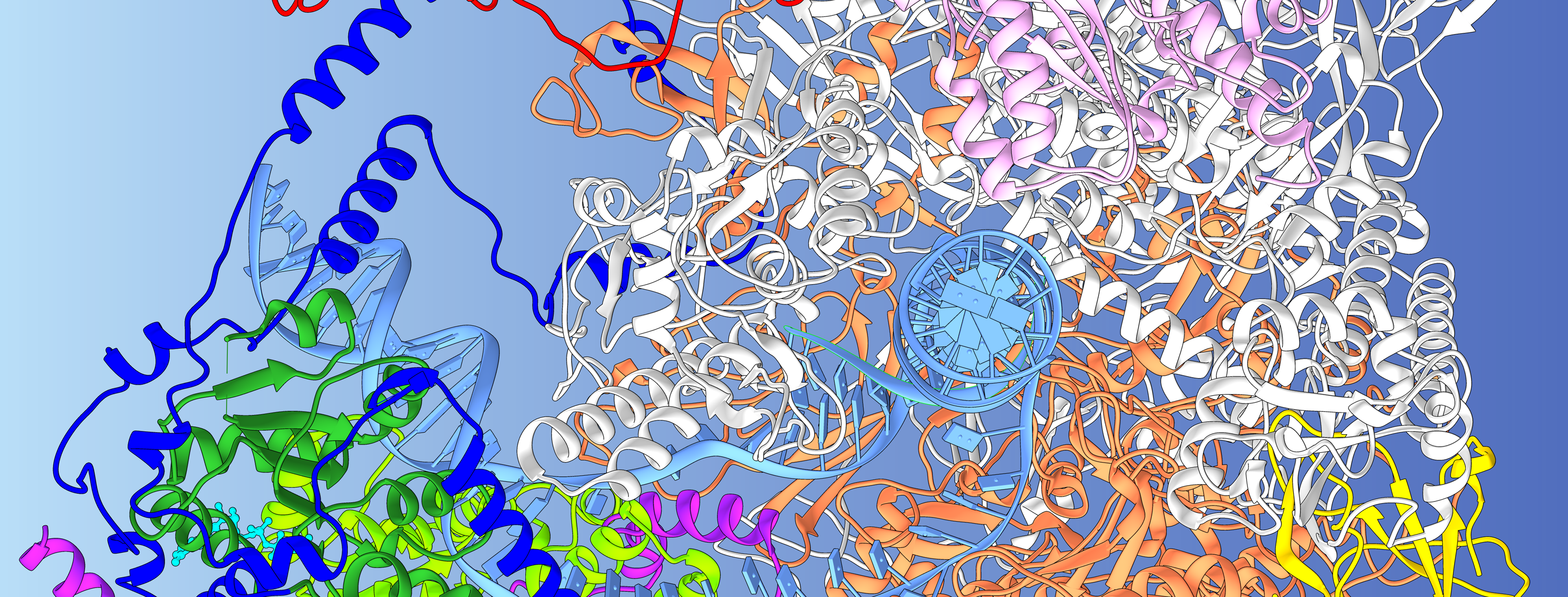 Decoding the Role of CSB Protein in DNA Repair