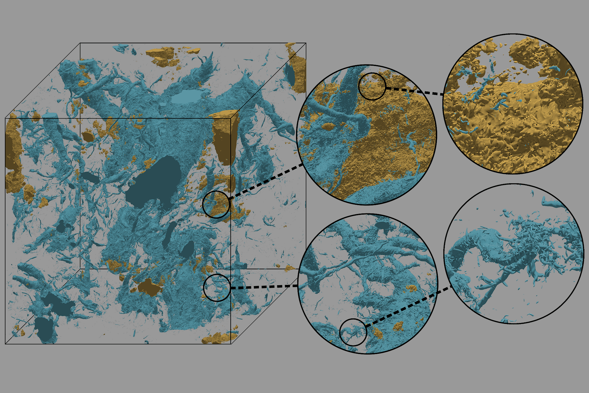 The New Frontier of Fluid Turbulence Simulations: 35-Trillion Grid Points