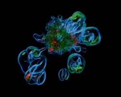 Visualization of Core-Collapse Supernova Simulation Data Visualization of Core-Collapse Supernova Simulation Data