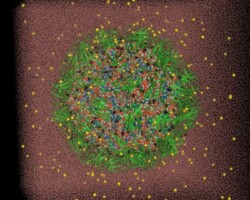 Simulation of the Satellite Tobacco Mosaic Virus in Explicit Water Simulation of the Satellite Tobacco Mosaic Virus in Explicit Water