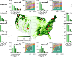 This visualization summarizes a 1,000-year simulation of forest dynamics across the contiguous United States using GGap, a GPU-native, individual-tree, agent-based forest model designed for exascale computing and executed on Frontier at OLCF. The full simulation tracks 712 million individual tree agents across 1,424 spatially coupled sites and 235 tree species, with inter-site seed dispersal represented through a haversine-distance network. The central map displays NLDAS-2-derived forest fraction at 0.125° spatial resolution. Ten numbered markers identify representative sites spanning the major ecoregions of the contiguous United States, ranging from Pacific Northwest mixed conifer forests to Gulf Coast loblolly pine systems. For each site, two companion panels summarize long-term ecosystem development: a stacked area plot showing temporal shifts in species composition as a percentage of stand biomass carbon over the millennium of simulated succession, and a bar chart illustrating the tree diameter distribution at simulation year 1,000. The visualization highlights strong regional differentiation in species dominance, productivity, and forest structure emerging entirely from climate-driven competition resolved at the level of individual trees. The simulated communities—including Calocedrus and Pseudotsuga in the Pacific Northwest, Pinus banksiana in the Upper Midwest, and Pinus taeda along the Gulf Coast—closely reproduce forest associations documented by the USDA Forest Inventory and Analysis. These results demonstrate the potential of exascale, high-fidelity forest simulation to capture long-term U.S. forest dynamics under changing weather and disturbance regimes, while supporting next-generation Earth system modeling and national energy resilience strategies.